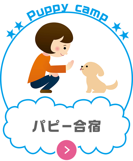 松山のドッグトレーナー施設ならk9 Dog Life Adviser 愛媛県松山市のペット用のホテル 美容 しつけ指導